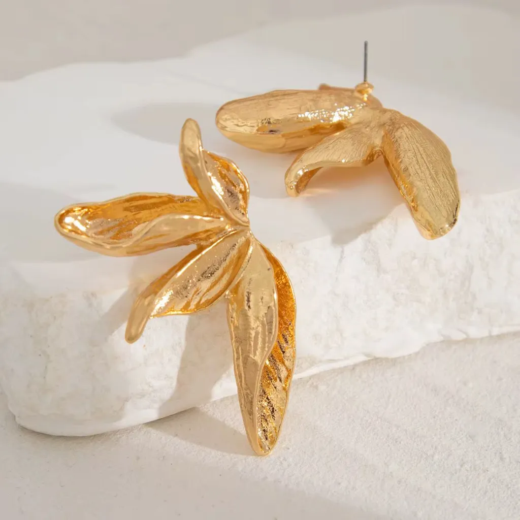 WhatsApp Image 2026-01-08 at 4.11.52 PM (2).webp